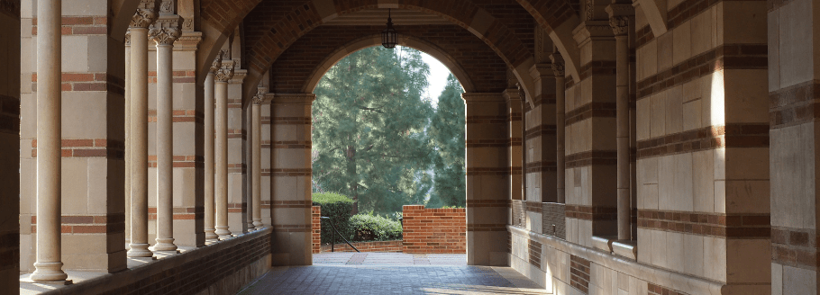 The Global Migration Education Service and CNY Networking Event