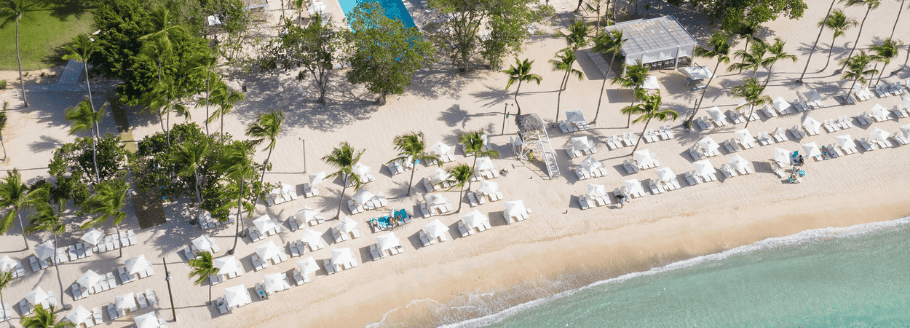 Experience Global Citizenship in Paradise