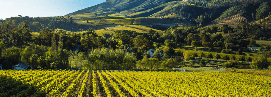 Italian Investor Visa Roadshow 2025: Unlocking Europe’s Best-Kept Secret