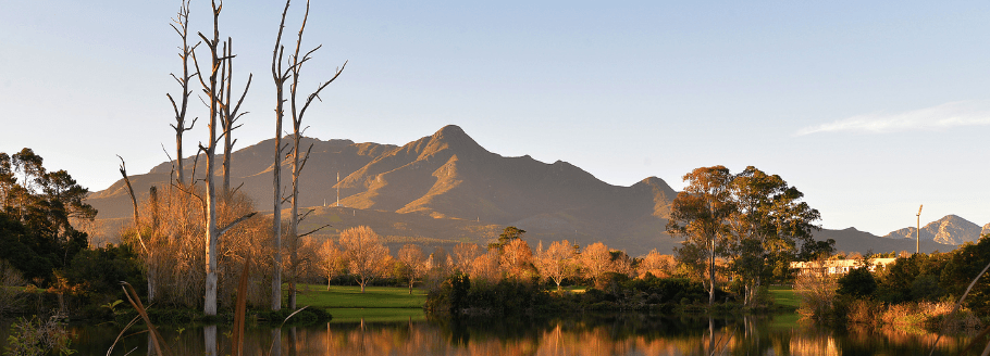 South Africa Roadshow 2024